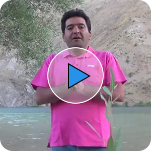 بی خیالی و بی غم بودن