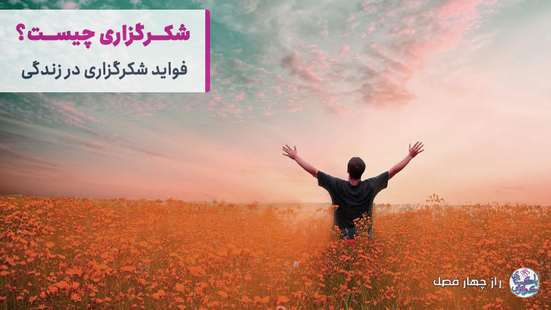 شکرگزاری چیست؟ فواید معجزه شکرگزاری در زندگی