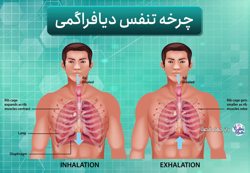 تکنیک تنفس دیافراگمی